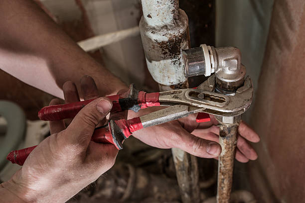 Best Plumbing System Maintenance  in Eastpointe, MI